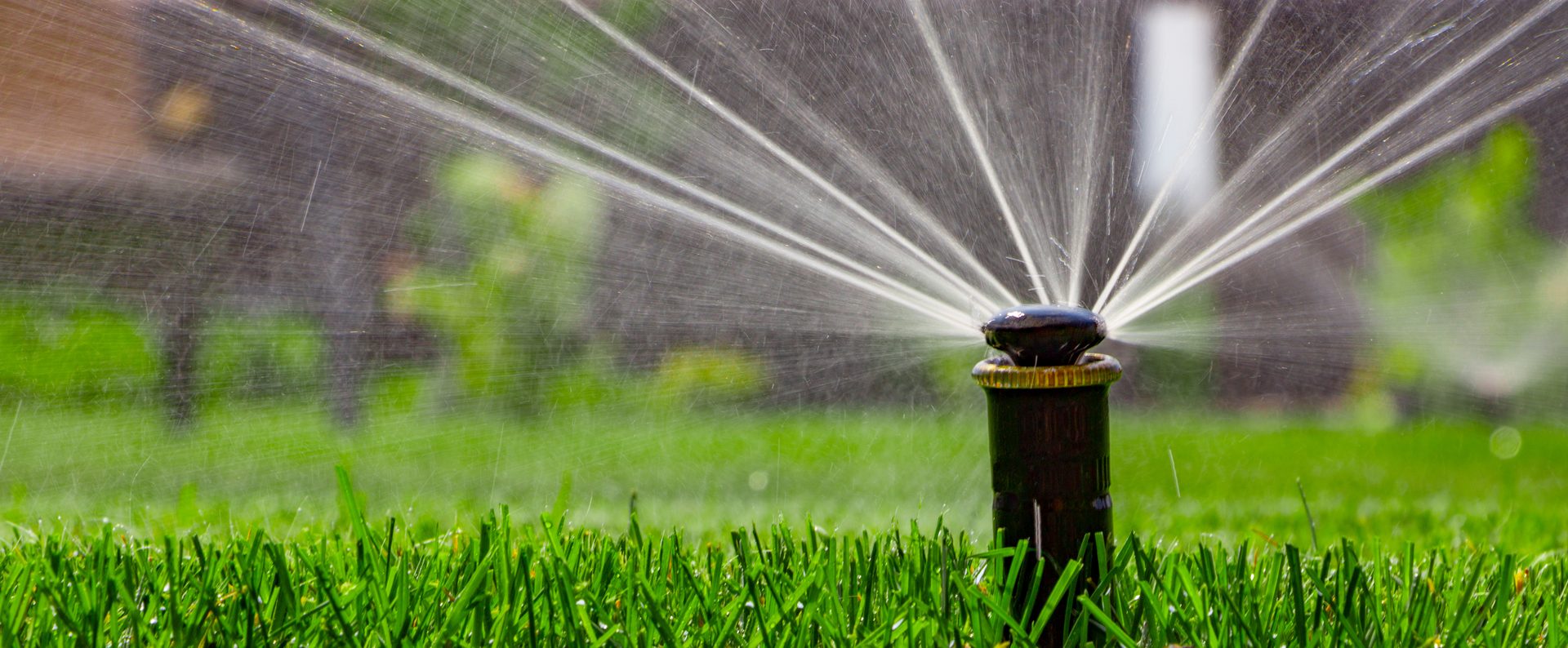 Sprinkler irrigation system