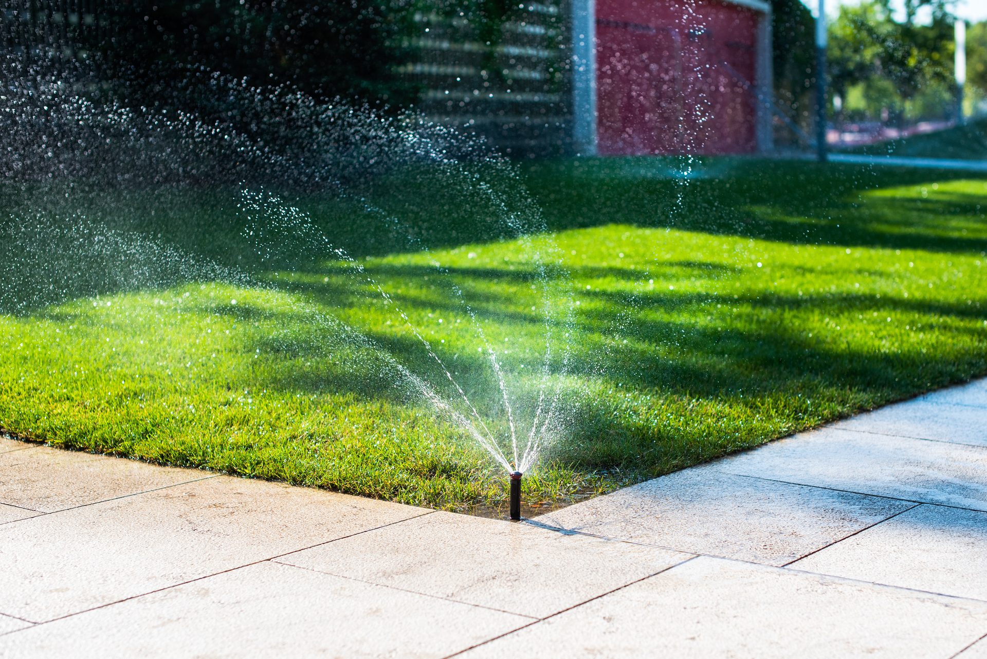 Irrigated garden beds